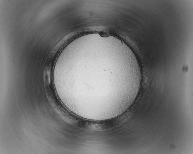 X0000115360062200911241226