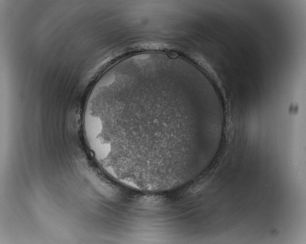 X0000115360063200911241226