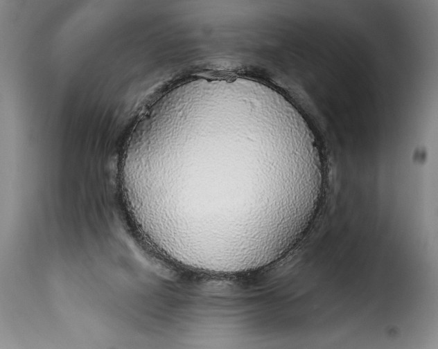 X0000115360066200911241226