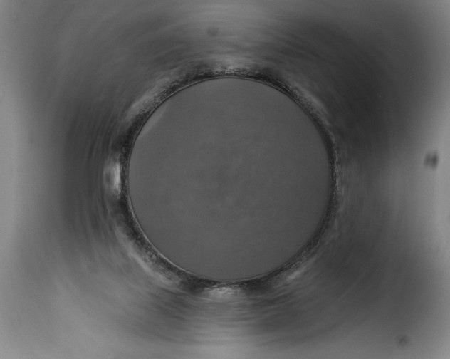 X0000115360067200911241226