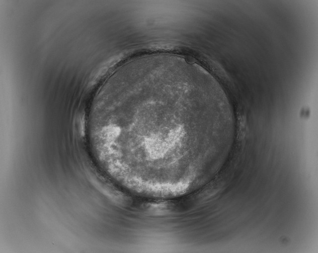X0000115360068200911241226