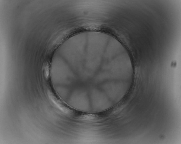 X0000115360069200911241226