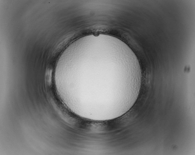 X0000115360070200911241226