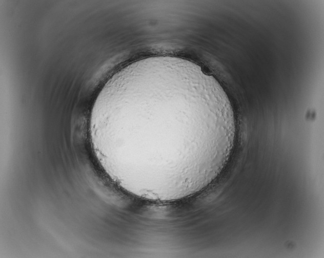 X0000115360071200911241226