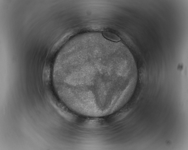 X0000115360072200911241226