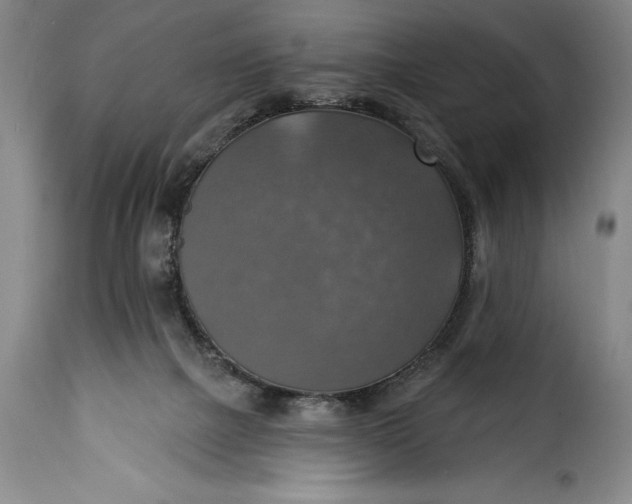 X0000115360073200911241226