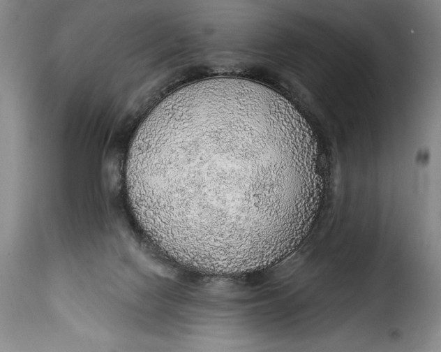 X0000115360074200911241226