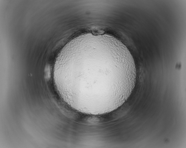 X0000115360075200911241226