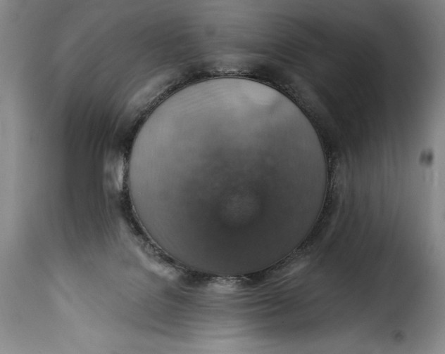 X0000115360076200911241226