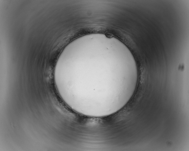 X0000115360077200911241226