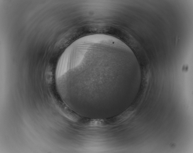 X0000115360080200911241226