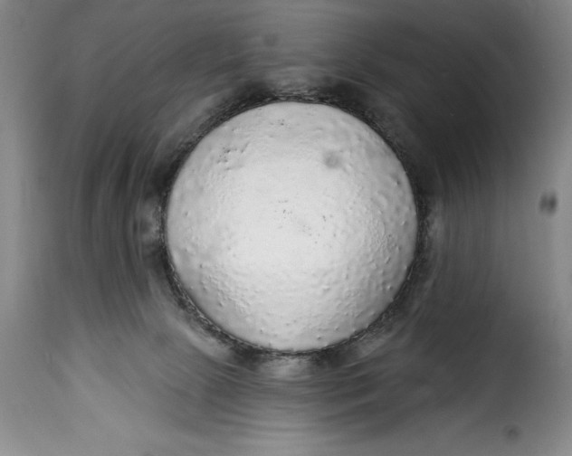 X0000115360081200911241227