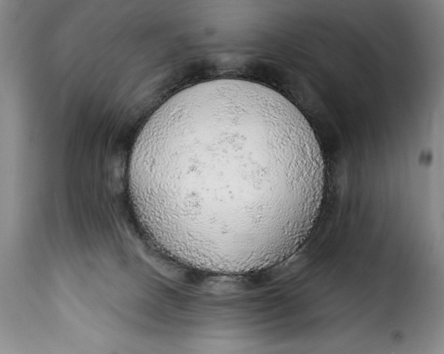 X0000115360082200911241227