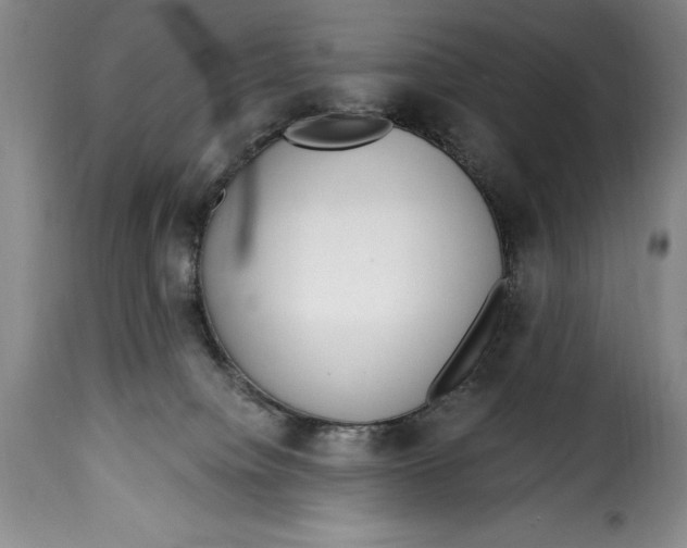X0000115360084200911241227