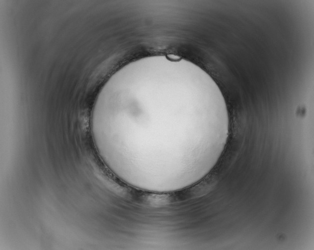 X0000115360085200911241227