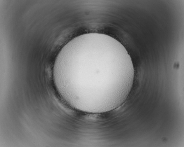 X0000115360086200911241227