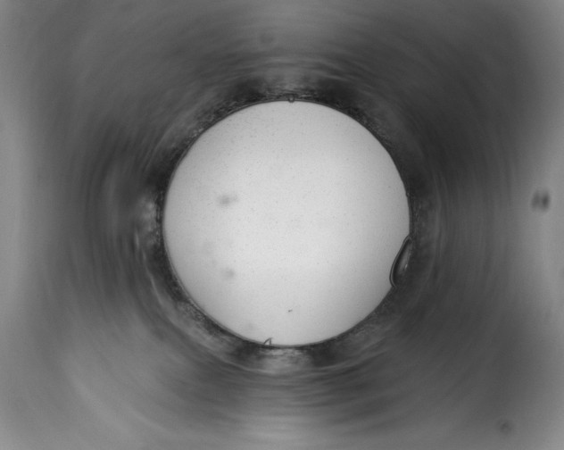 X0000115360087200911241227