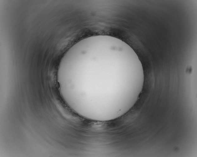 X0000115360088200911241227