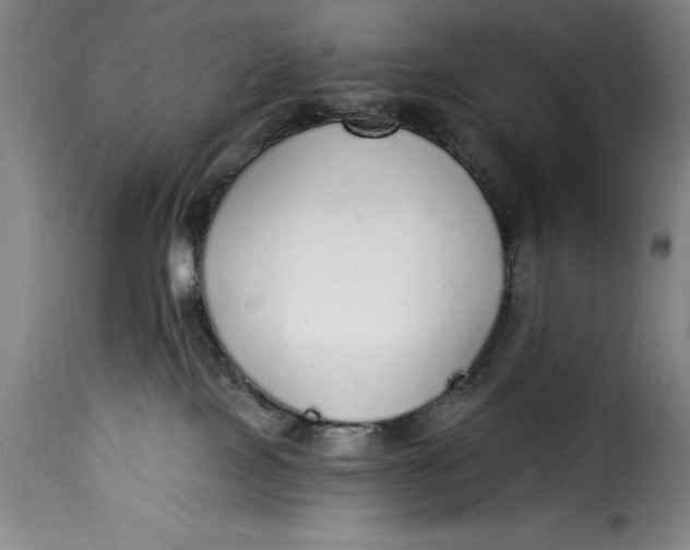 X0000115360089200911241227