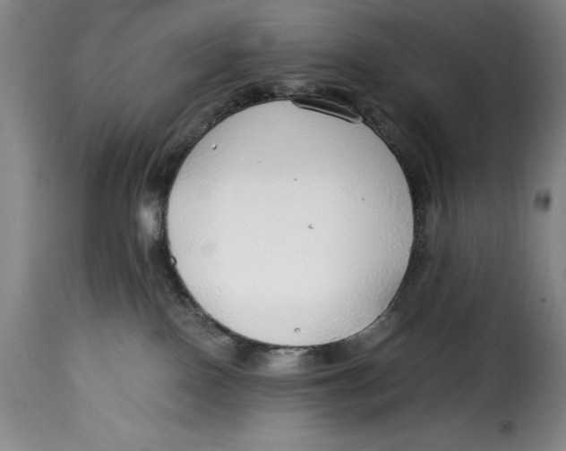 X0000115360090200911241227