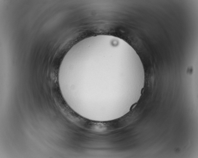 X0000115360091200911241227