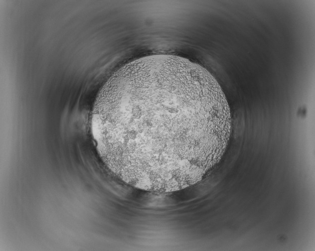 X0000115360093200911241227