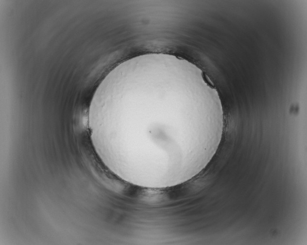 X0000115360095200911241227