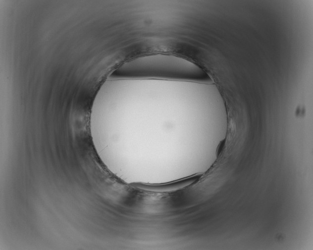 X0000115360096200911241227