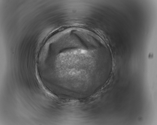 X0000115360097200911241226
