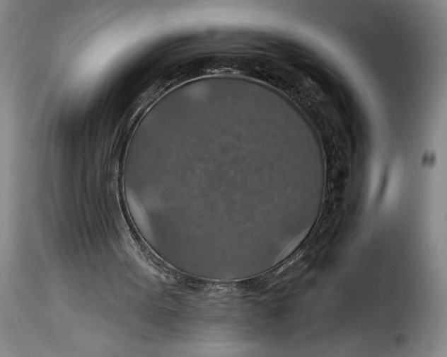 X0000115360099200911241226