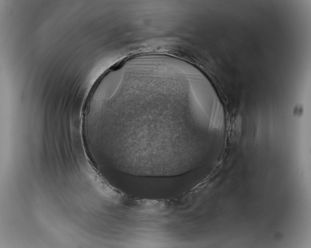 X0000115360100200911241226