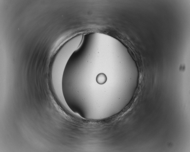 X0000115360101200911241226