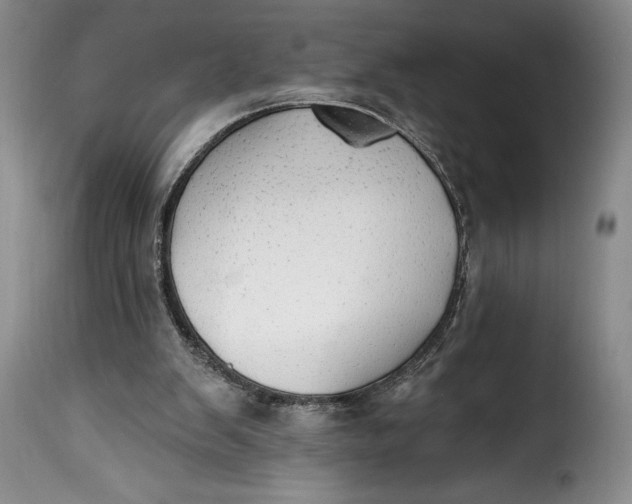 X0000115360103200911241226