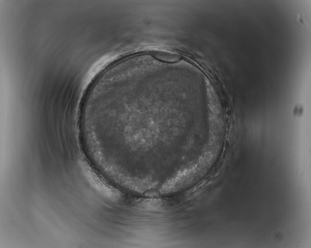 X0000115360104200911241226