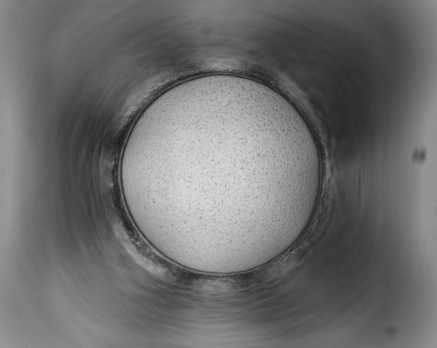 X0000115360106200911241226