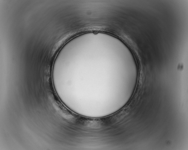 X0000115360107200911241226