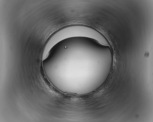 X0000115360109200911241226