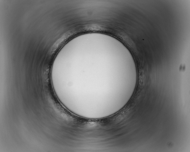 X0000115360111200911241226
