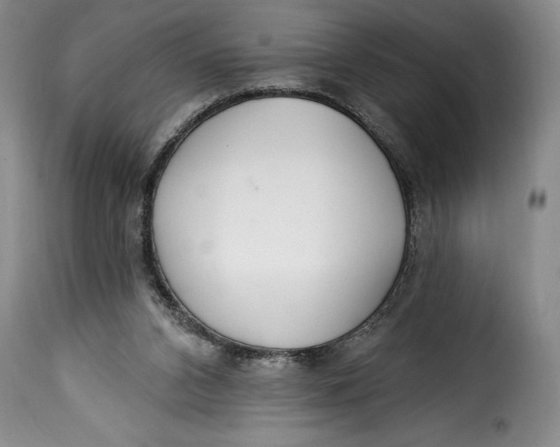 X0000115360112200911241226