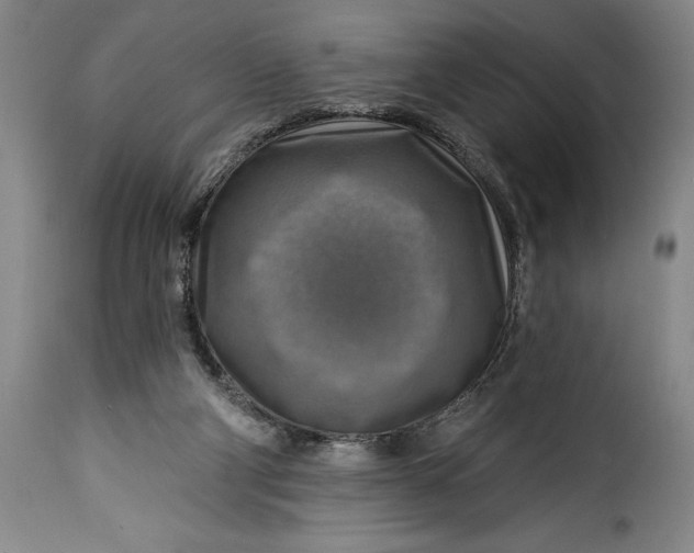 X0000115360114200911241226