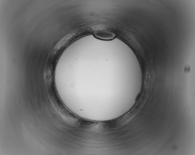 X0000115360116200911241226