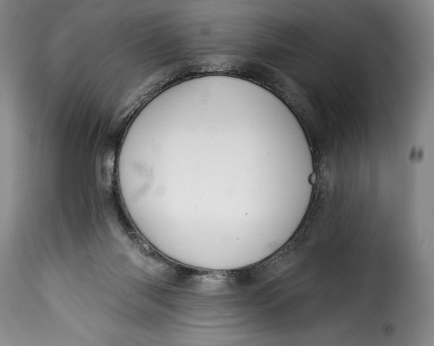 X0000115360118200911241226