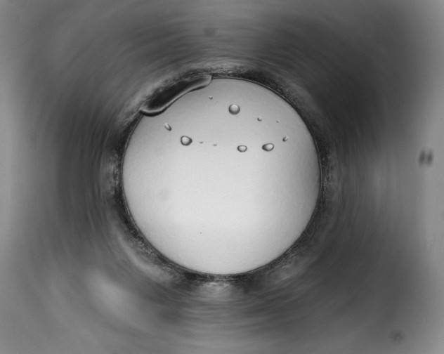 X0000115360119200911241226