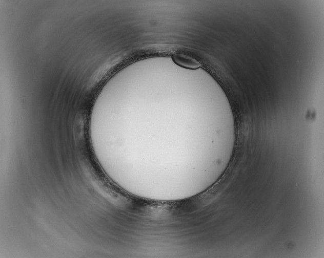 X0000115360120200911241226