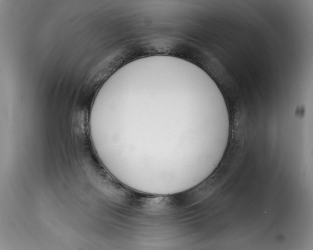 X0000115360122200911241226