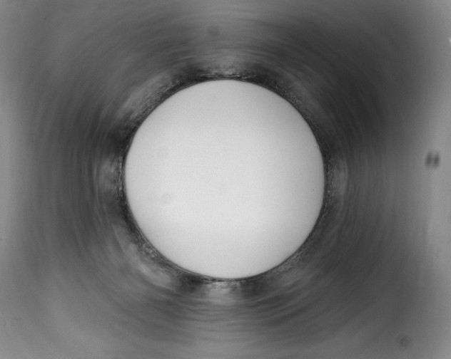 X0000115360126200911241226
