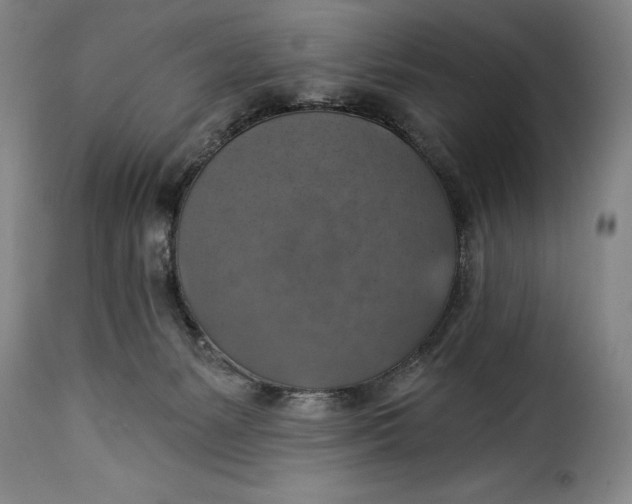 X0000115360127200911241226