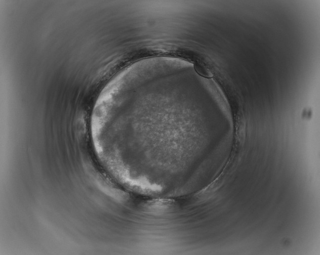 X0000115360128200911241226