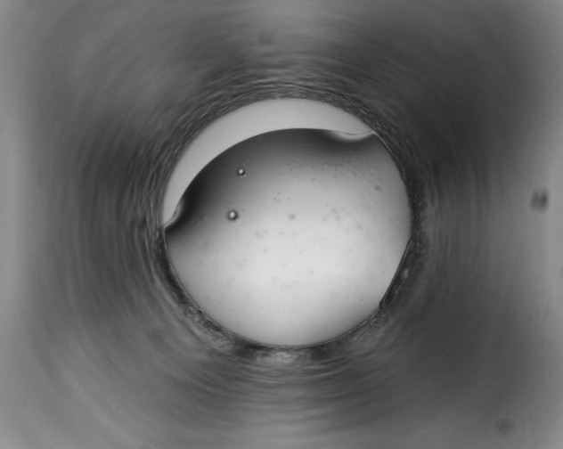 X0000115360129200911241226