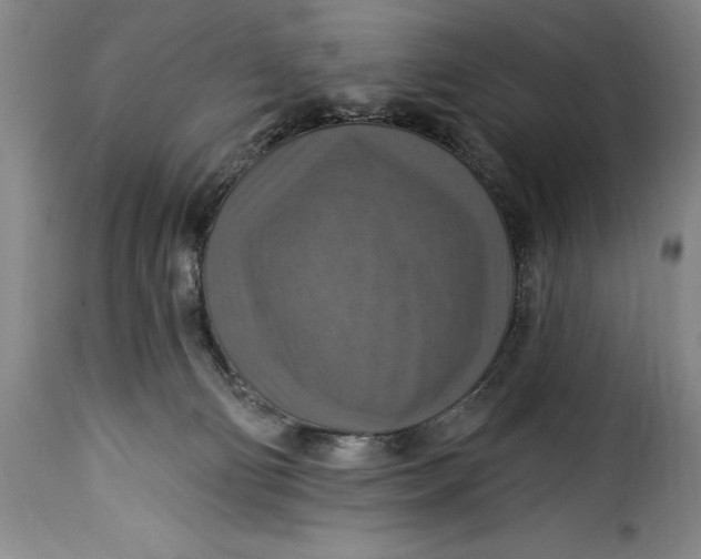 X0000115360130200911241226